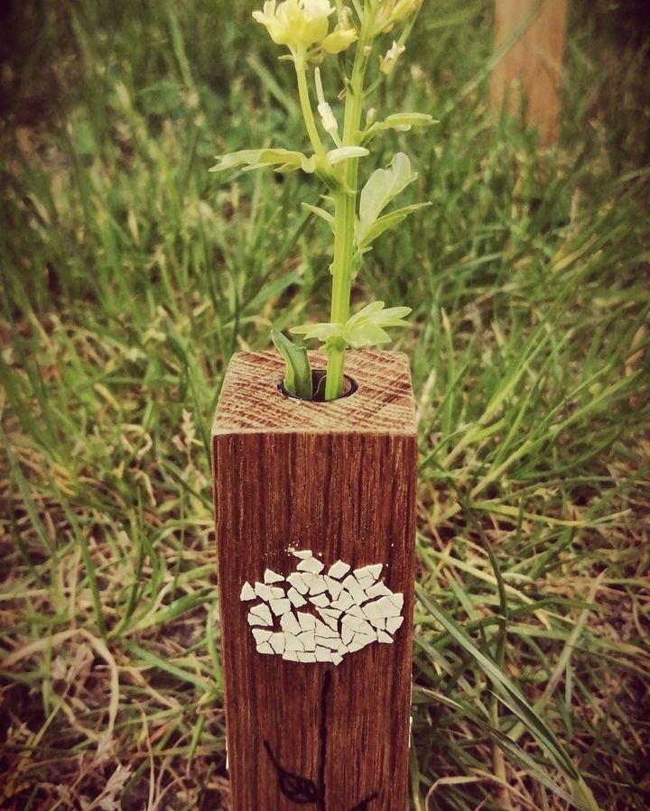 Soliflore ébéniste.